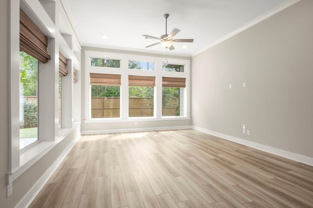 311 Pilazzo Street, Montgomery, TX 77316