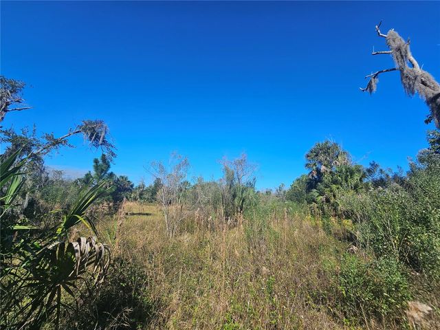 786 FORT FLORIDA ROAD, Debary, FL 32713