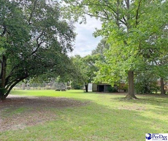 21 Manor Road, Cheraw, SC 29520