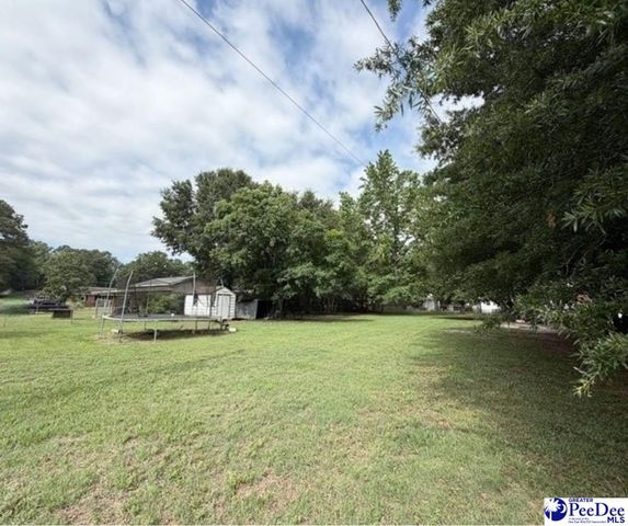 21 Manor Road, Cheraw, SC 29520
