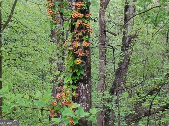 5716 Fairley Hall Court, Peachtree Corners, GA 30092