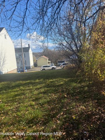 217 Catherine Street, Kingston, NY 12401