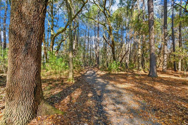 2917 Swamp Sparrow Circle, Johns Island, SC 29455