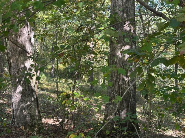 4276 Taft Highway, Signal Mountain, TN 37377