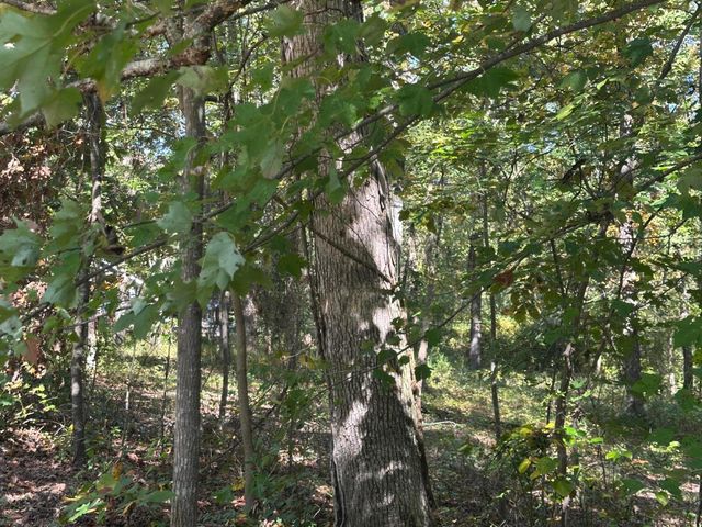 4276 Taft Highway, Signal Mountain, TN 37377