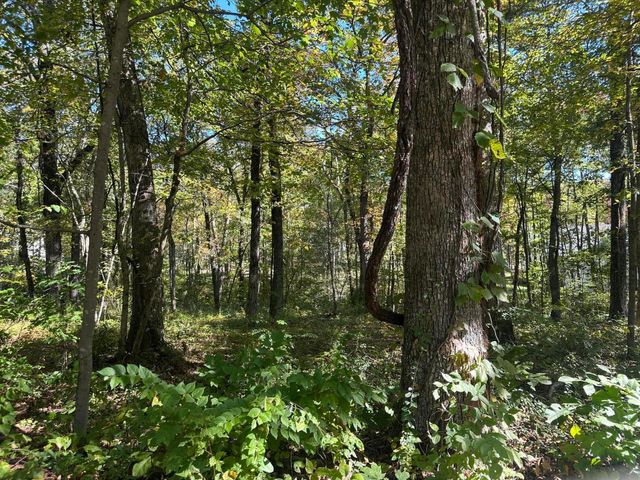 4276 Taft Highway, Signal Mountain, TN 37377