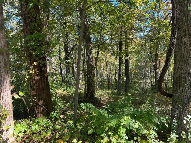 4276 Taft Highway, Signal Mountain, TN 37377