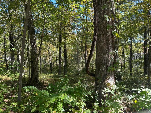 4276 Taft Highway, Signal Mountain, TN 37377