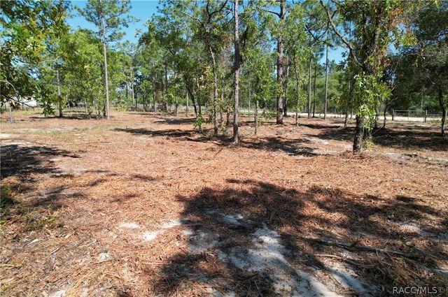 5563 W Osmond Lane, Dunnellon, FL 34433