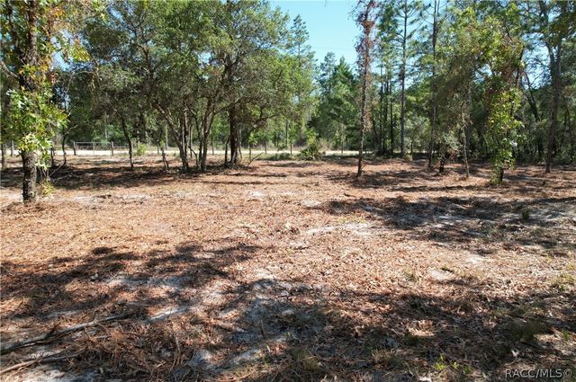 5563 W Osmond Lane, Dunnellon, FL 34433