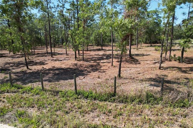 5563 W Osmond Lane, Dunnellon, FL 34433