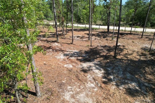 5563 W Osmond Lane, Dunnellon, FL 34433