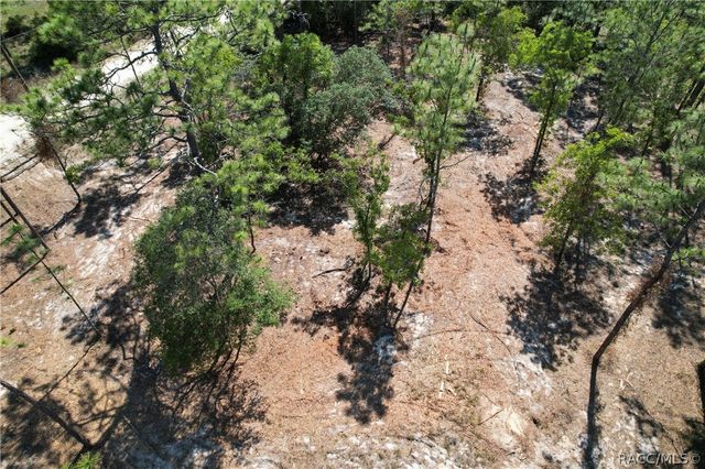 5563 W Osmond Lane, Dunnellon, FL 34433