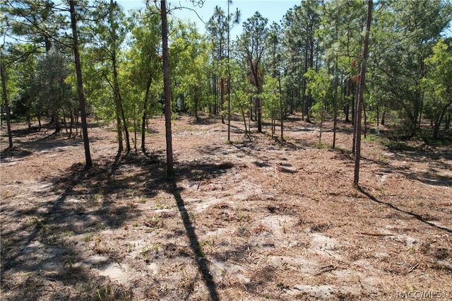 5563 W Osmond Lane, Dunnellon, FL 34433