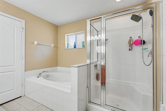 11531 MISTY ISLE LANE, Riverview, FL 33579
