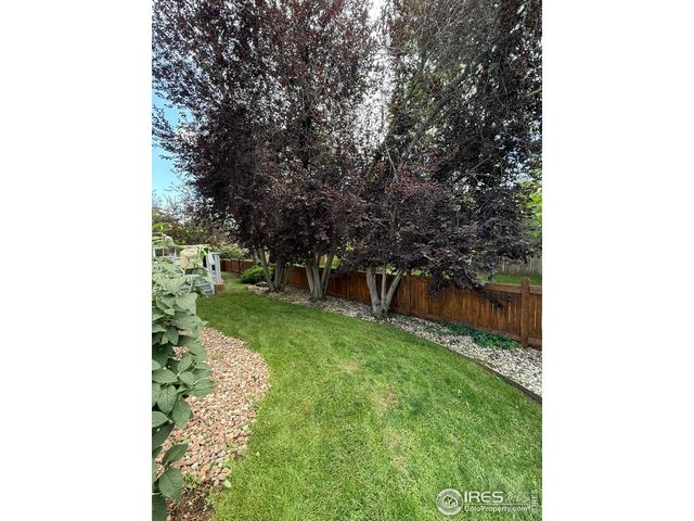 715 Yarnell Ct, Fort Collins, CO 80525