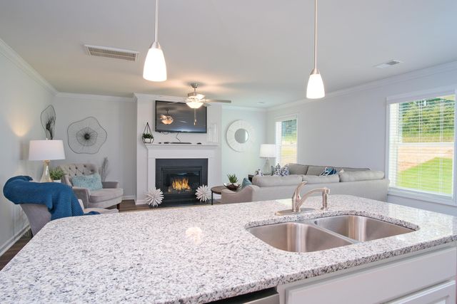 216 Central Creek Drive, Goose Creek, SC 29445