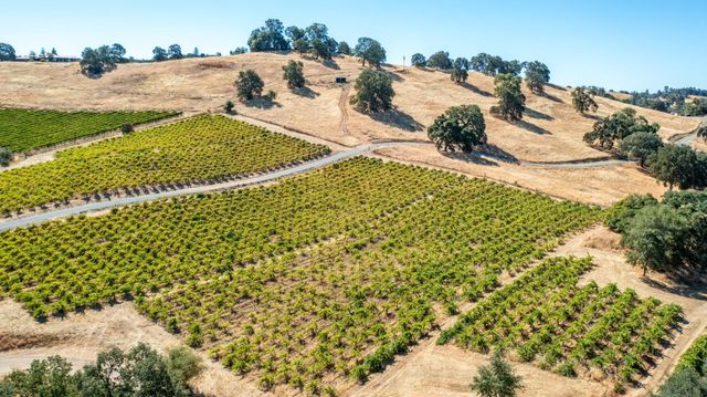 19940 Shenandoah School Rd, Plymouth, CA 95669