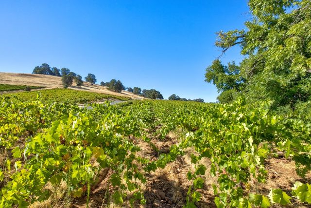 19940 Shenandoah School Rd, Plymouth, CA 95669