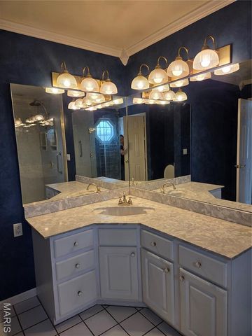 26662 Lakeview Terrace, Godfrey, IL 62035