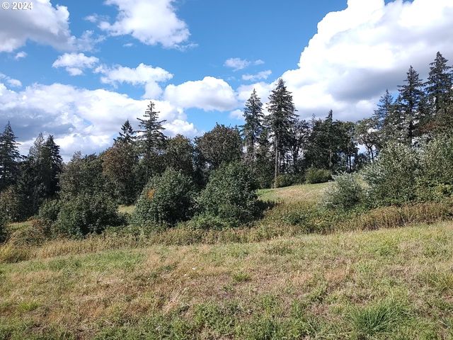0 Nw 389th St, Woodland, WA 98674