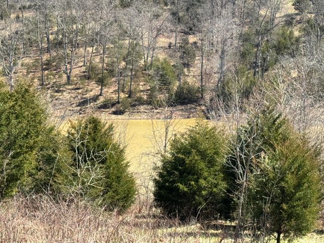 00000 Dixie Highway, Pleasureville, KY 40057