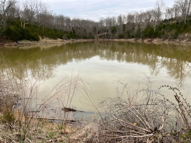 00000 Dixie Highway, Pleasureville, KY 40057
