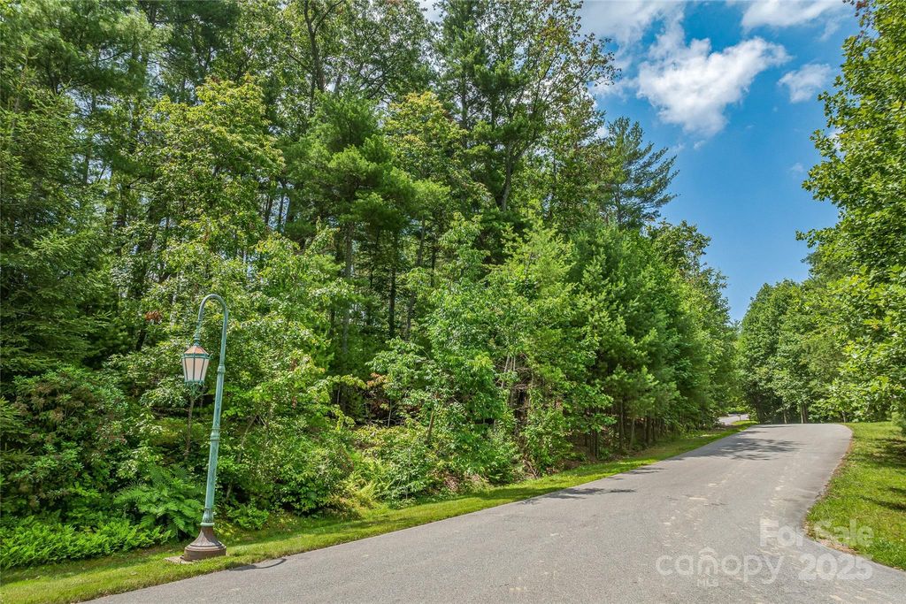 99999 Cedar Hill Drive 28, Biltmore Forest, NC 28803