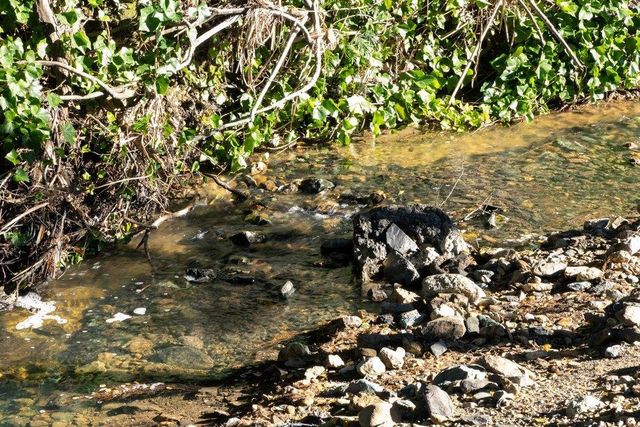 9600 Golf Links, Oakland, CA 94605