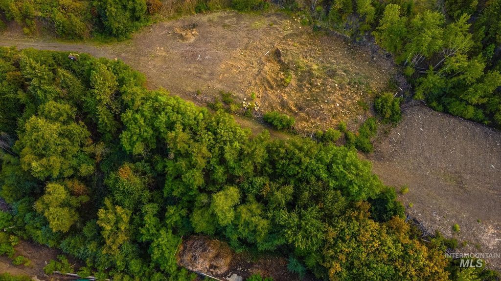 84 Grangemont Rd, Orofino, ID 83544 photo 13