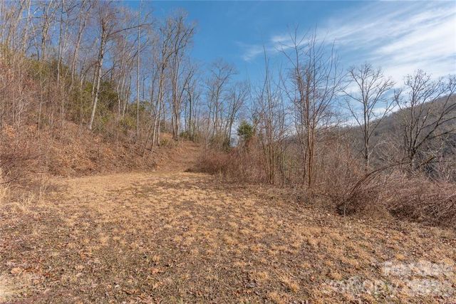 2220 Tract 2 Tilley Creek Road, Cullowhee, NC 28723
