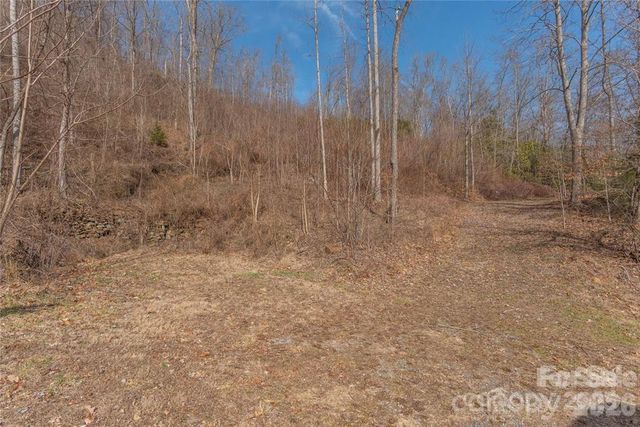 2220 Tract 2 Tilley Creek Road, Cullowhee, NC 28723