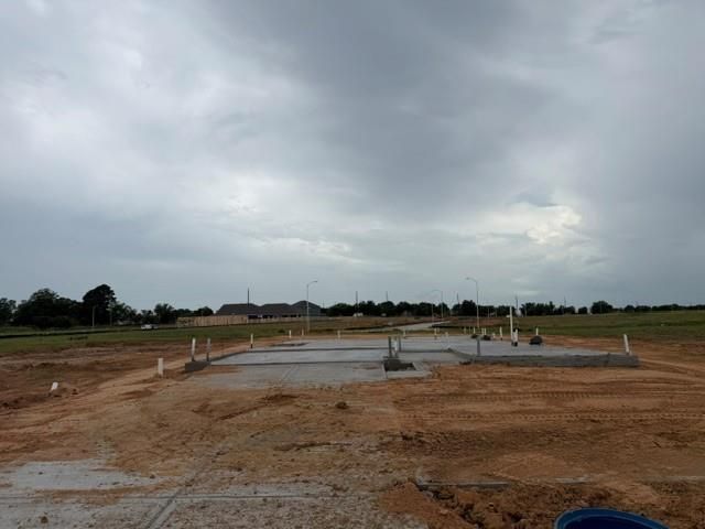 7538 Tall Foxglove Court, Fulshear, TX 77441