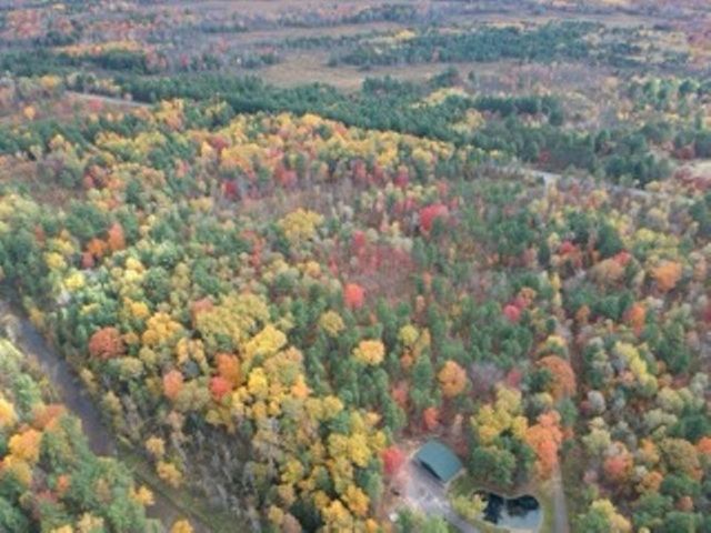 44 acres @2485 N M-30 Highway, Gladwin, MI 48624