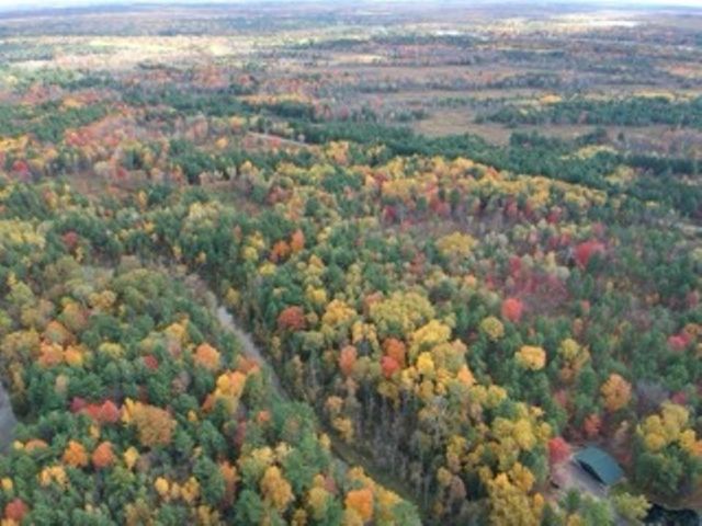 44 acres @2485 N M-30 Highway, Gladwin, MI 48624