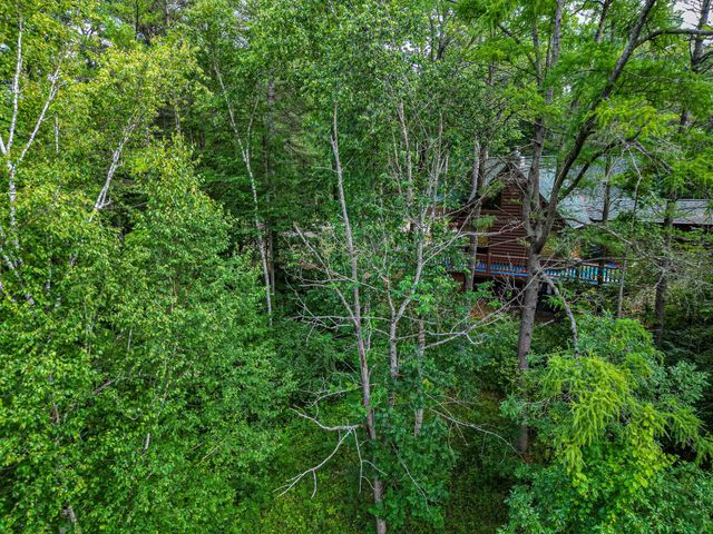 44 acres @2485 N M-30 Highway, Gladwin, MI 48624