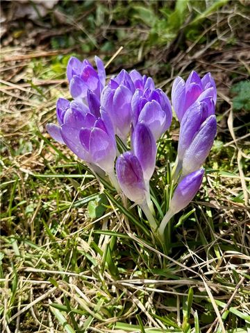 289 Main Street, Unadilla, NY 13849