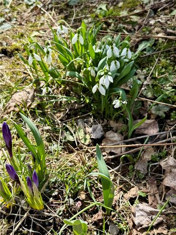 289 Main Street, Unadilla, NY 13849