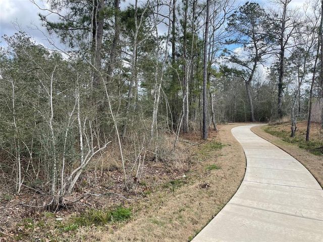 214 Farray Forest Lane, Magnolia, TX 77354