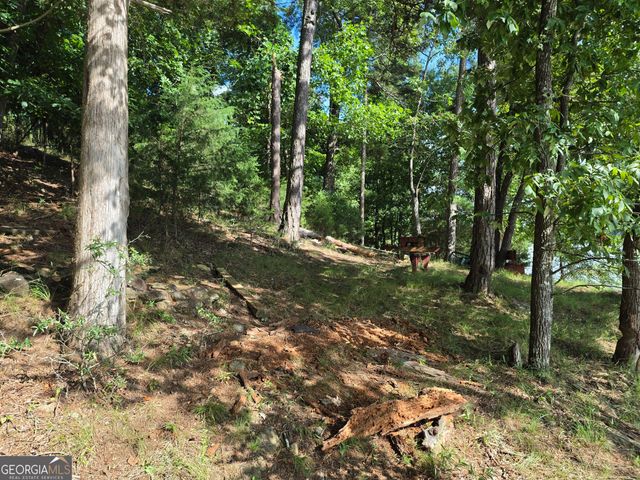 95 Lang Circle, Covington, GA 30014