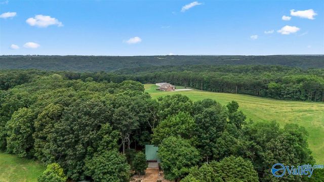 1304 Cardessa Lane, Grant, AL 35747