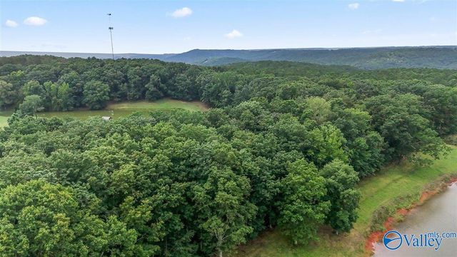 1304 Cardessa Lane, Grant, AL 35747