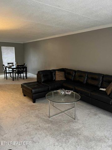 426 Dublin Drive 206, Knoxville, TN 37923