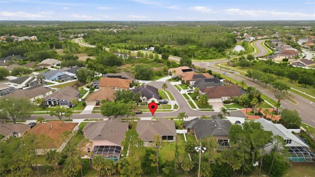 10121 KINGSHYRE WAY, Tampa, FL 33647