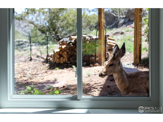 187 Wichita Rd, Lyons, CO 80540