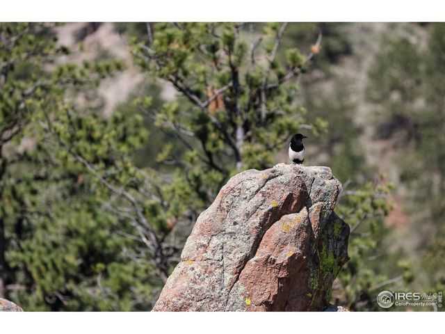 187 Wichita Rd, Lyons, CO 80540