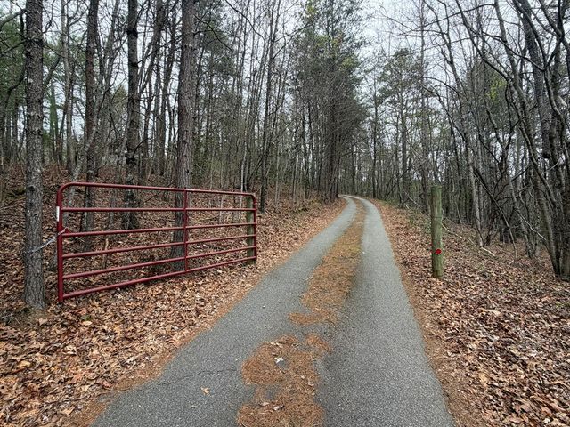 365 Ruby Lane, Mineral Bluff, GA 30559