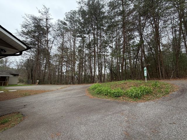 365 Ruby Lane, Mineral Bluff, GA 30559
