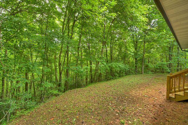 365 Ruby Lane, Mineral Bluff, GA 30559