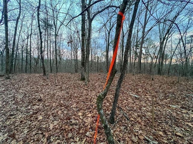 0zz Kelly Bridge Road, Dawsonville, GA 30534